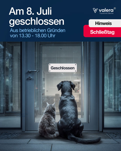 Veterinärmedizin Marketing – Full-Service Agentur für Tierkliniken