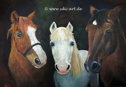 Auftragsarbeit, Pferde-Porträt: Gipsy, Nico & Pontus, Acryl auf Leinwand, 70 x 100 cm