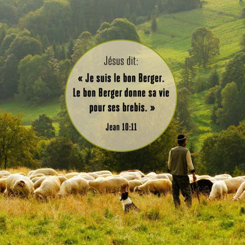 Jésus est le bon berger qui donne sa vie pour ses brebis. Jésus est la Porte des brebis, il est le Rédempteur, le Libérateur, le Christ, le Messie, le Sauveur de l'humanité, le chemin qui mène à la vie éternelle, l'Agneau de Dieu, le pain de la vie.