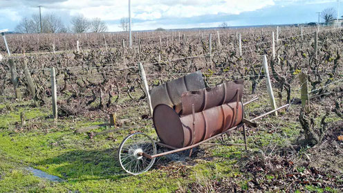 wine-tour-and-wine-tasting-in-winter-in-the-Loire-Valley-near-Amboise-Tours-Vouvray