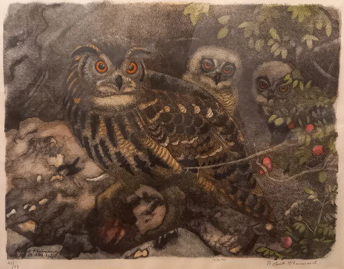 28x36 cm