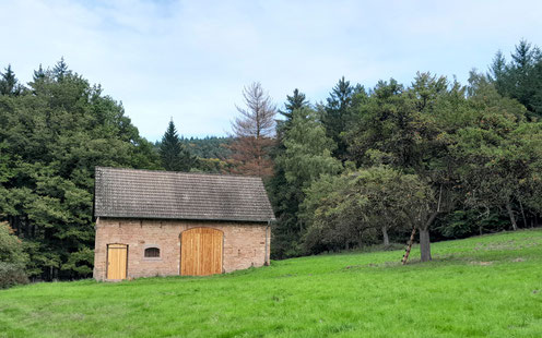 Geiswiese