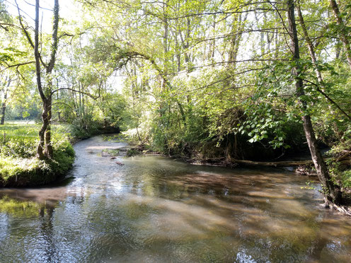 la-Brenne-à Chançay-AOC-Vouvray-Touraine-Vallée-de-la-Loire