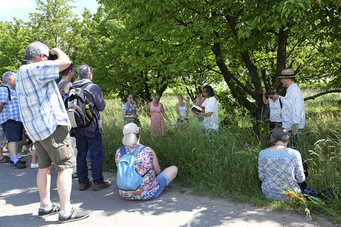 Poetishce Idyllen erwarten die Besucher bei den literarischen Spaziergängen durch Freinsheim und die umgebende Landschaft.