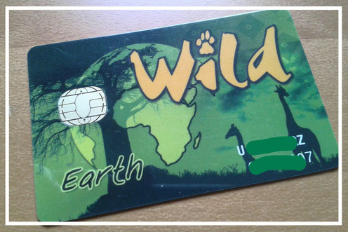 Wildcard