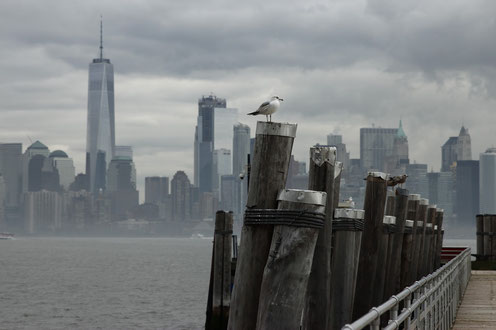 Die Skyline von New York von Liberty Island aus