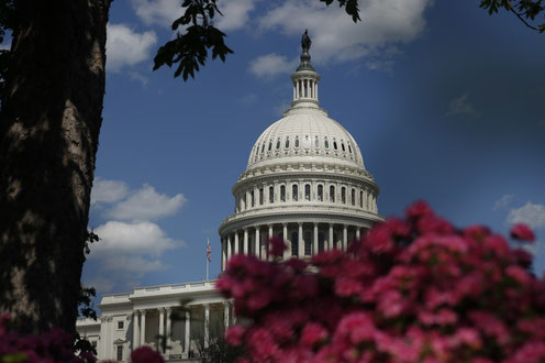 The Capitol, Washingotn DC, USA