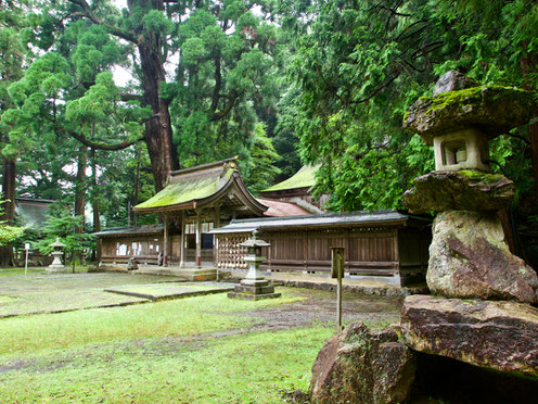 Wakasahime Shrine. The large cedar tree is an object of worship, and believed to be a thousand years old.