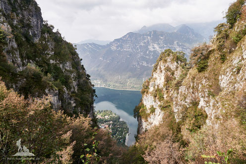 Aussichtspunkt auf der Berg-Wanderung mit Hund zum Monte Stino.