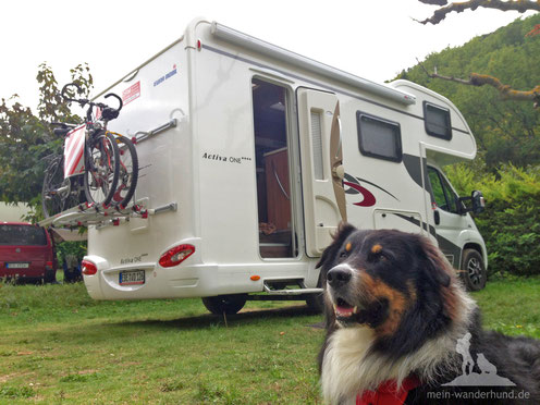 Wohnmobil mit Hund mein wanderhund