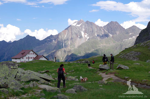 Hütte mit Hund mein wanderhund Andrea Obele