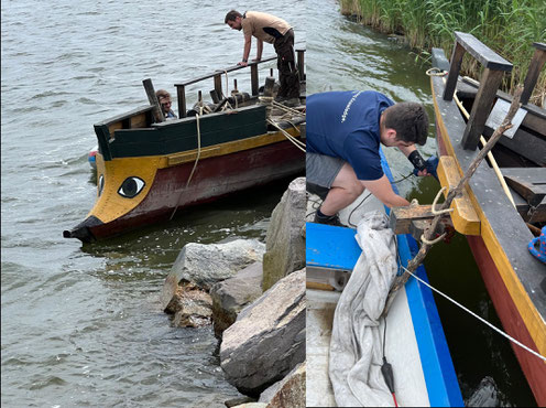 links: Danuvina vor Arbeitsbeginn - rechts: Danuvina work in progress (© Fotos B. Dreyer)