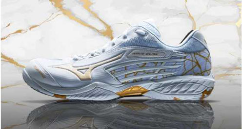 MIZUNO BDSS - 千歳のバドミントン・ソフトテニス・テニス専門店 プロ