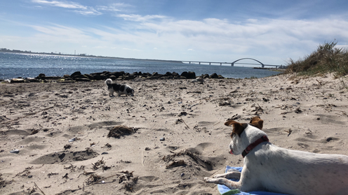 Strand Richtung Fehmarnsund 