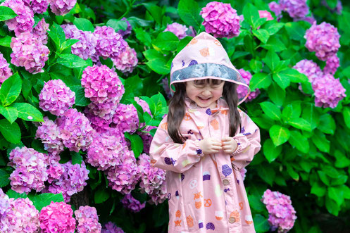 相内逢花 ブログ 写真