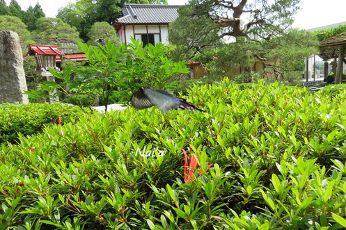 糸満市スピリチュアル,沖縄霊能者,東北霊能者,北上市霊能者,名取市整体,東北スピリチュアル