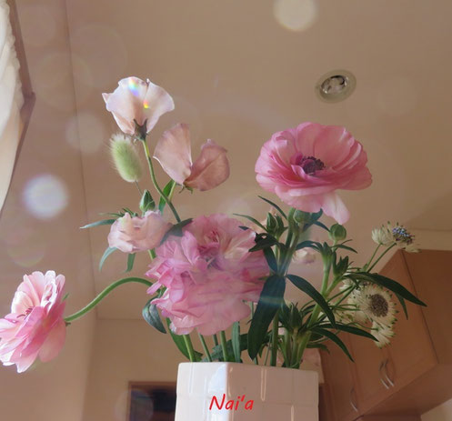 盛岡花屋,北上霊能者,奥州市整体,北上整体,盛岡市青山整体,青山駅整体