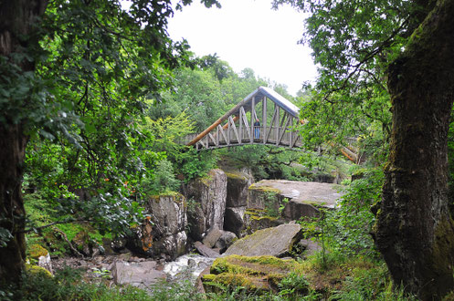 road trip ecosse, roadtrip scotland, highlands, chien, vacances, voyager avec son chien, randonnée, hiking dog