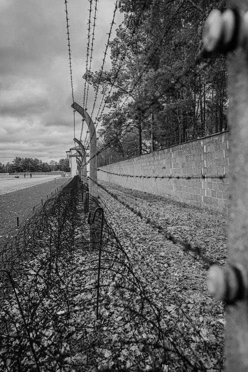 Der damals unter Strom stehende Lagerzaun. Davor ein Geändestreifen den die Häftlinge nicht betreten durften. Bei Zuwiderhandlung wurde sofort geschossen.