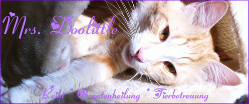 Reiki-Anwendungen und Quantenheilung für Tiere