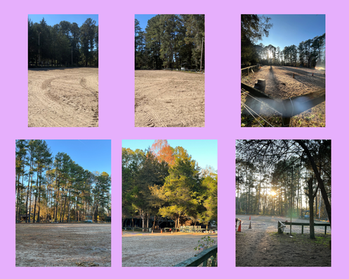 Riding arena from Horseback Riding lesson Columbia Barn of Pony Gang Equestrian Services