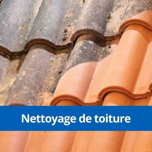 nettoyage toiture lyon - avant après