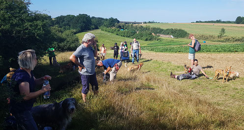 Kurztour am 11.08.2019 / Pause bei herrlichen Wetter am Kochhartgraben