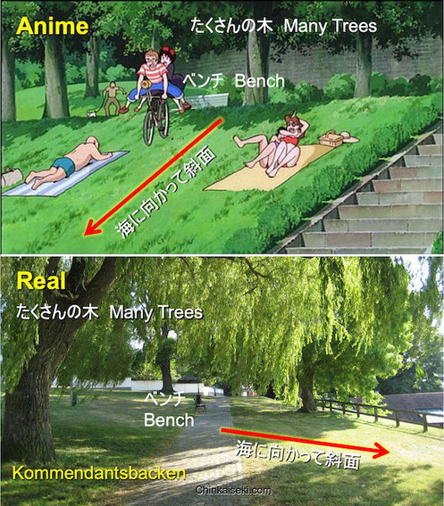芝生の公園