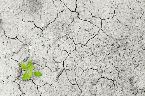 Dry lack of water desert