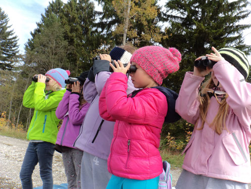 Für Kinder ist die Vogelbeobachtung mit dem Fernglas besonders reizvoll (Foto: Monika Schirutschke, LBV)