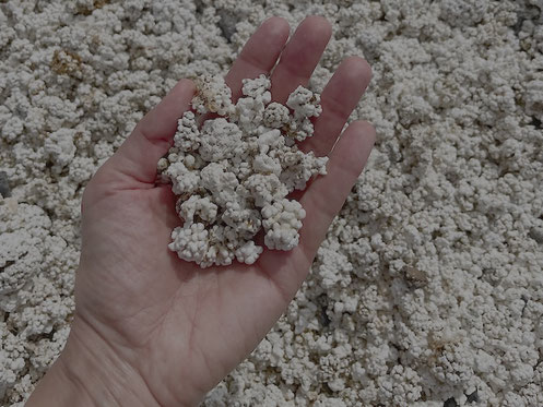 "Popcorn"-Strand Fuerteventura