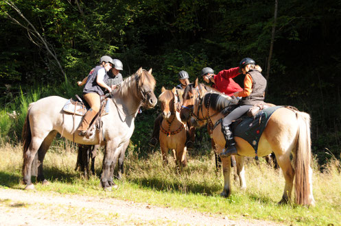 Ausritt nach Karte und Kompass