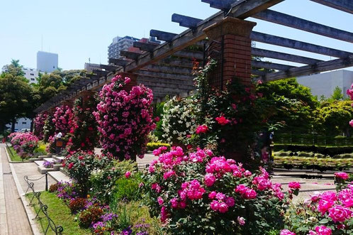 山下公園 中央広場