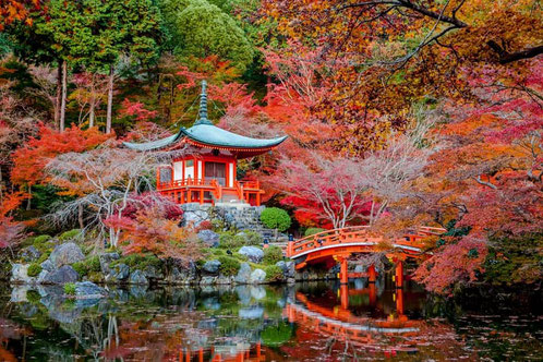 photographier-couleurs-automnes-Kyoto-Japon