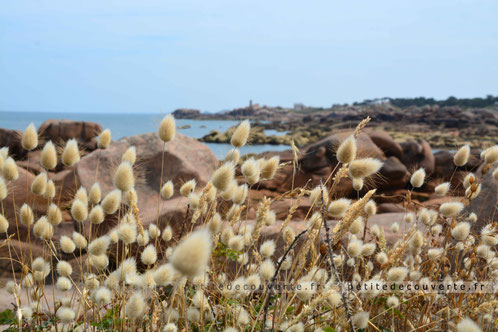 Balade en famille sur l'île Renote.
