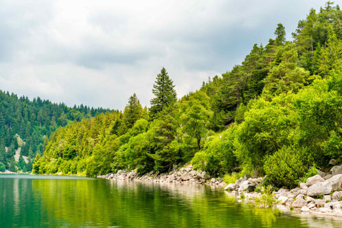 Lac Blanc - Vosges