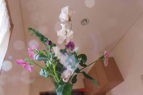 盛岡花屋,八幡平整体,hachimantaiciropuractic,矢巾整体,紫波整体