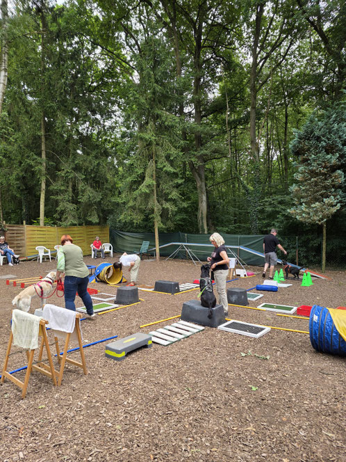 Hundeschule GOOD DOGS - Heusenstamm - Rodgau - Obertshausen - Erziehung - Spiel