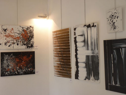 Galerie Rivaud - POITIERS (86) - mars 2012