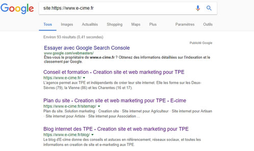 pages indexees par Google pour e-cime.fr consultant formateur en creation de site web pour TPE