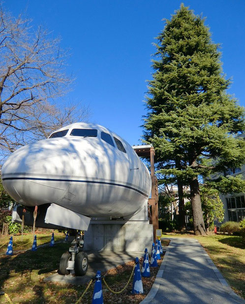 12月24日（2013）　ヒマラヤ杉とＹＳ-11コックピットの展示：ＪＡＸＡ調布航空宇宙センターの見学敷地内にて