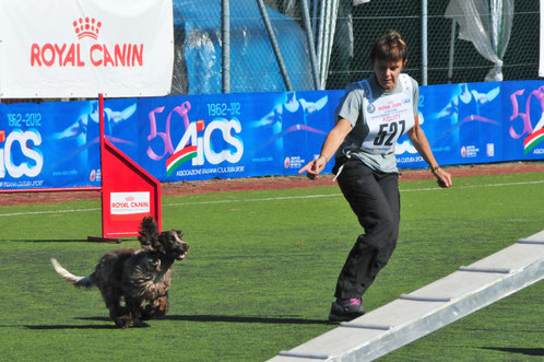 Elena, educatrice 3 livello e istruttrice agility dog Ciao Ciao Bau Bau Udine.