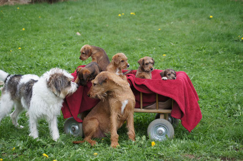 Die komplette Familie