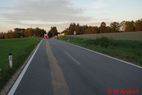 Feuerwehr; Blaulicht; FF Andorf; Ölspur; Landesstraße; Schadstoff;