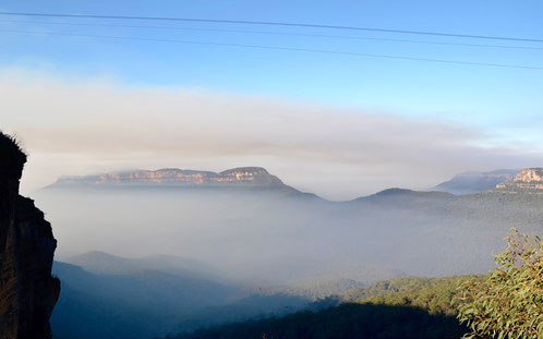 Wanderweg am Echo Point in den Blue Mountains mit Morgennebel