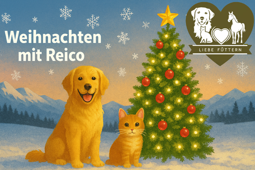 Weihnachten mit Reico. 