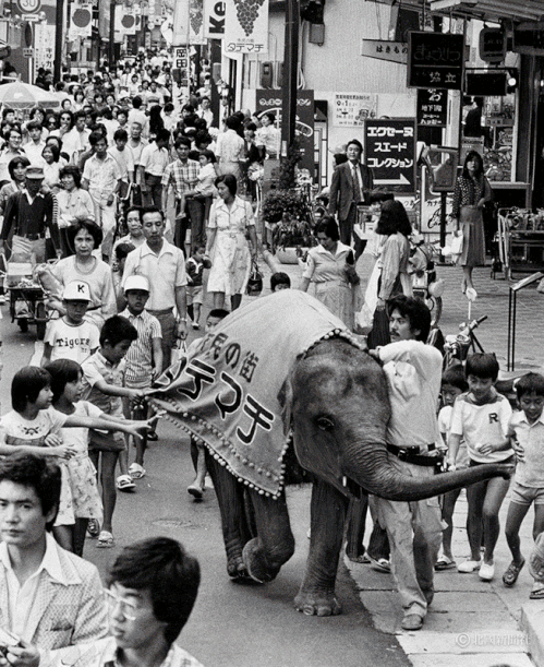 1977（昭和52）年9月18日、金沢市竪町商店街