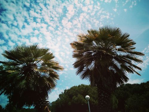 The beautiful place in the park where I often go and just relax, do Yoga, read and watch the clouds.