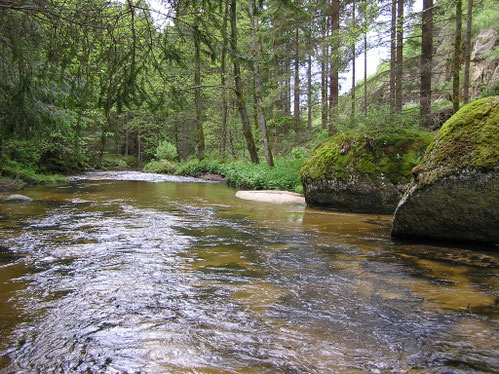 Mühlviertler Naarn (A).