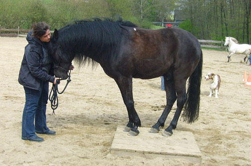 Petra und Jayha bei der Übung "Bergziege"